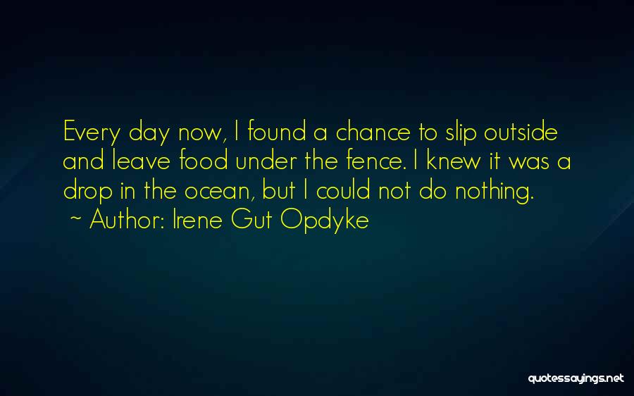 Irene Gut Opdyke Quotes: Every Day Now, I Found A Chance To Slip Outside And Leave Food Under The Fence. I Knew It Was