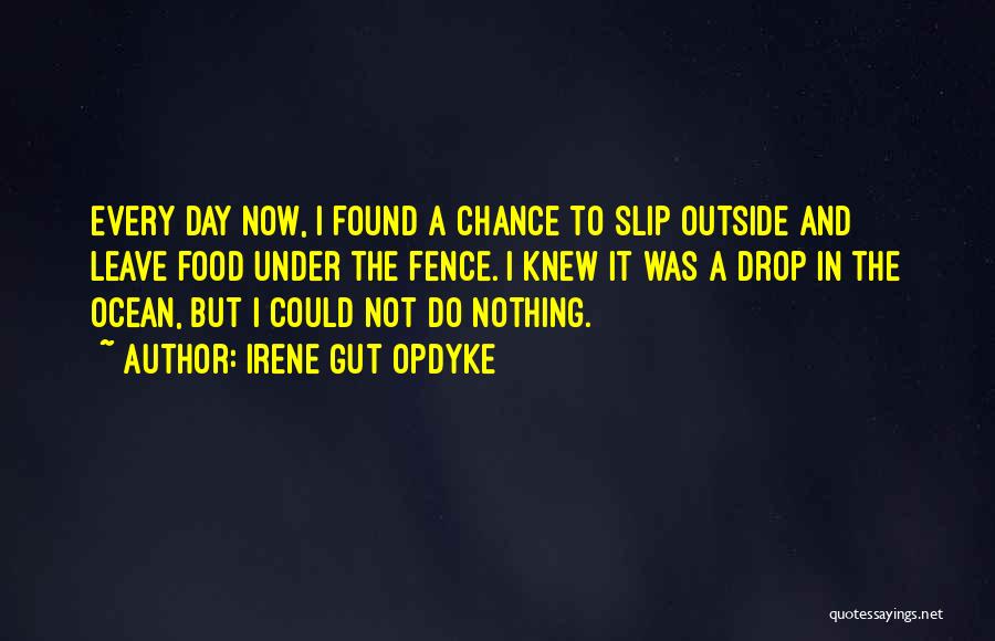 Irene Gut Opdyke Quotes: Every Day Now, I Found A Chance To Slip Outside And Leave Food Under The Fence. I Knew It Was