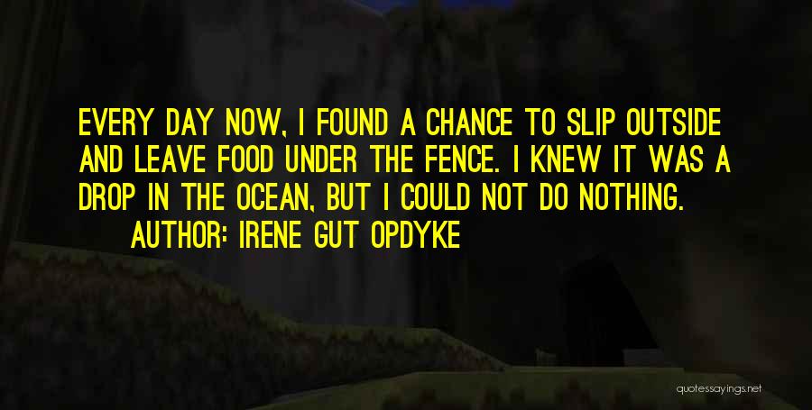 Irene Gut Opdyke Quotes: Every Day Now, I Found A Chance To Slip Outside And Leave Food Under The Fence. I Knew It Was