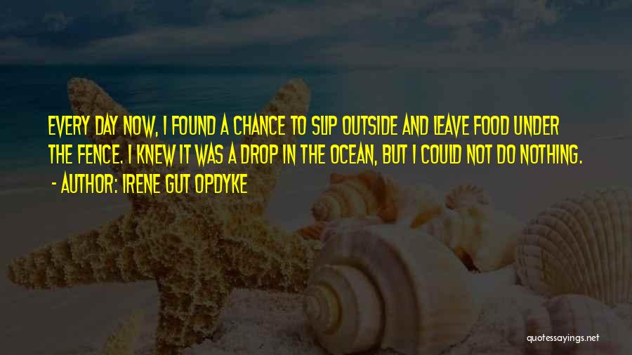 Irene Gut Opdyke Quotes: Every Day Now, I Found A Chance To Slip Outside And Leave Food Under The Fence. I Knew It Was