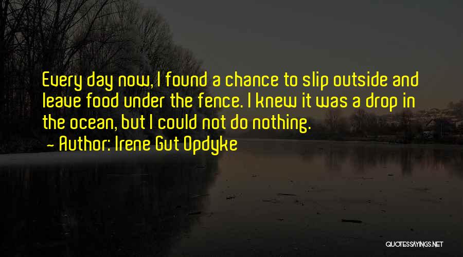 Irene Gut Opdyke Quotes: Every Day Now, I Found A Chance To Slip Outside And Leave Food Under The Fence. I Knew It Was