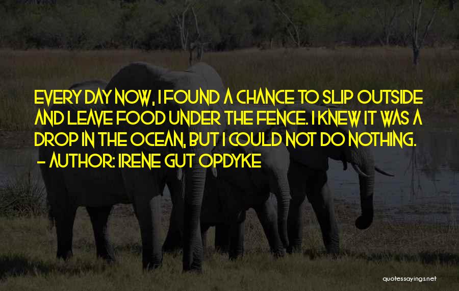 Irene Gut Opdyke Quotes: Every Day Now, I Found A Chance To Slip Outside And Leave Food Under The Fence. I Knew It Was