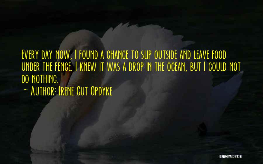 Irene Gut Opdyke Quotes: Every Day Now, I Found A Chance To Slip Outside And Leave Food Under The Fence. I Knew It Was