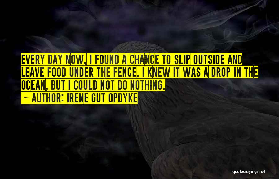 Irene Gut Opdyke Quotes: Every Day Now, I Found A Chance To Slip Outside And Leave Food Under The Fence. I Knew It Was