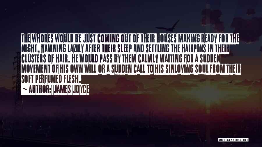 James Joyce Quotes: The Whores Would Be Just Coming Out Of Their Houses Making Ready For The Night, Yawning Lazily After Their Sleep