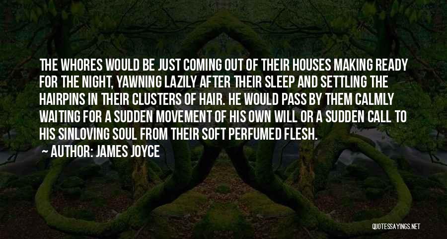James Joyce Quotes: The Whores Would Be Just Coming Out Of Their Houses Making Ready For The Night, Yawning Lazily After Their Sleep