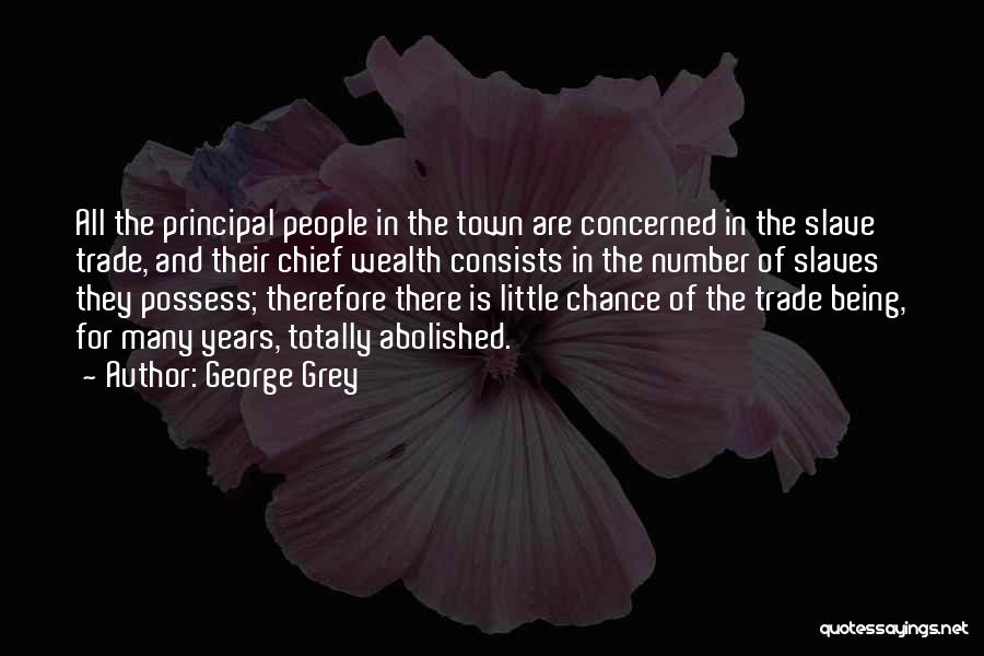 George Grey Quotes: All The Principal People In The Town Are Concerned In The Slave Trade, And Their Chief Wealth Consists In The