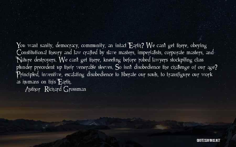 Richard Grossman Quotes: You Want Sanity, Democracy, Community, An Intact Earth? We Can't Get There, Obeying Constitutional Theory And Law Crafted By Slave