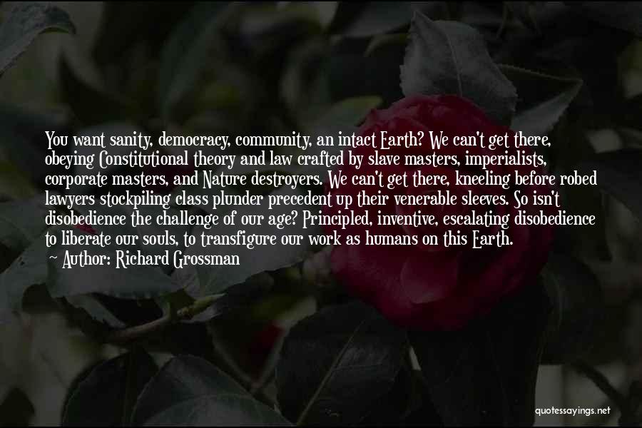 Richard Grossman Quotes: You Want Sanity, Democracy, Community, An Intact Earth? We Can't Get There, Obeying Constitutional Theory And Law Crafted By Slave