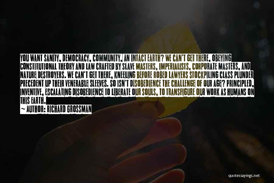 Richard Grossman Quotes: You Want Sanity, Democracy, Community, An Intact Earth? We Can't Get There, Obeying Constitutional Theory And Law Crafted By Slave