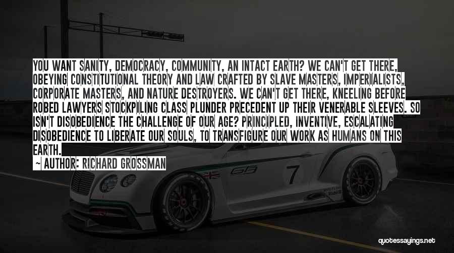 Richard Grossman Quotes: You Want Sanity, Democracy, Community, An Intact Earth? We Can't Get There, Obeying Constitutional Theory And Law Crafted By Slave