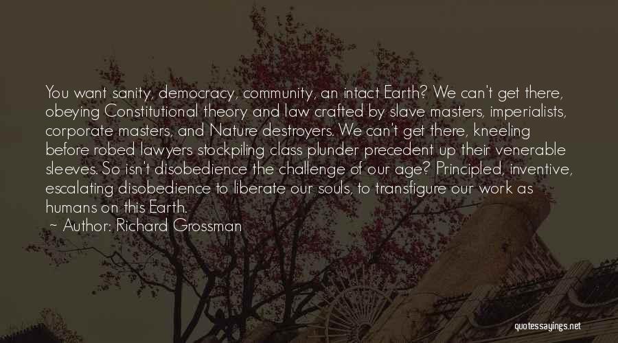 Richard Grossman Quotes: You Want Sanity, Democracy, Community, An Intact Earth? We Can't Get There, Obeying Constitutional Theory And Law Crafted By Slave