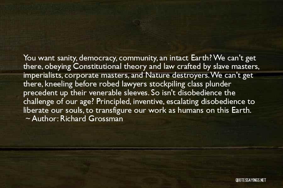 Richard Grossman Quotes: You Want Sanity, Democracy, Community, An Intact Earth? We Can't Get There, Obeying Constitutional Theory And Law Crafted By Slave