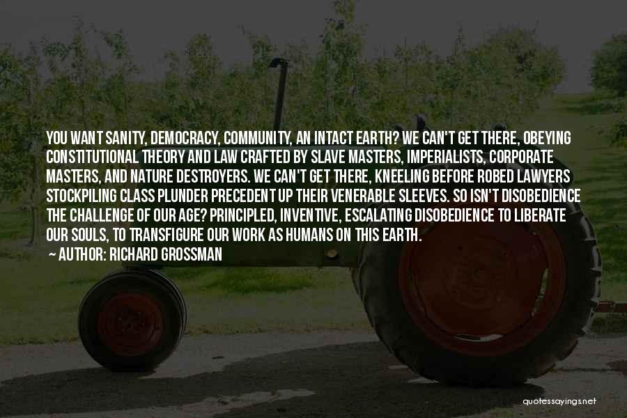 Richard Grossman Quotes: You Want Sanity, Democracy, Community, An Intact Earth? We Can't Get There, Obeying Constitutional Theory And Law Crafted By Slave