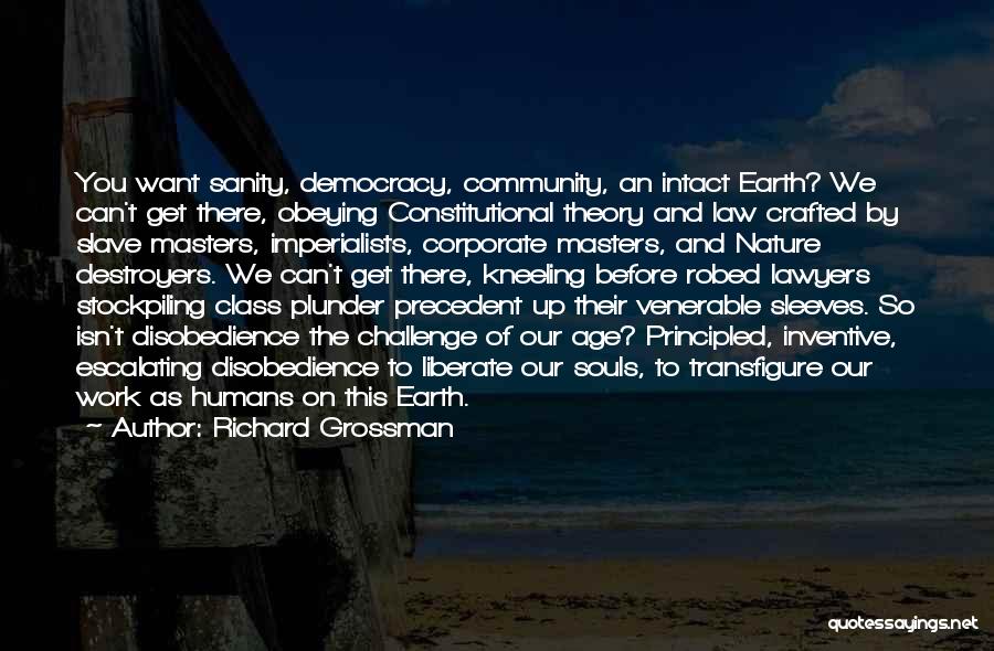 Richard Grossman Quotes: You Want Sanity, Democracy, Community, An Intact Earth? We Can't Get There, Obeying Constitutional Theory And Law Crafted By Slave