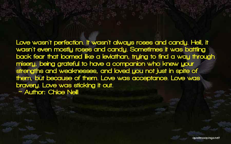 Chloe Neill Quotes: Love Wasn't Perfection. It Wasn't Always Roses And Candy. Hell, It Wasn't Even Mostly Roses And Candy. Sometimes It Was