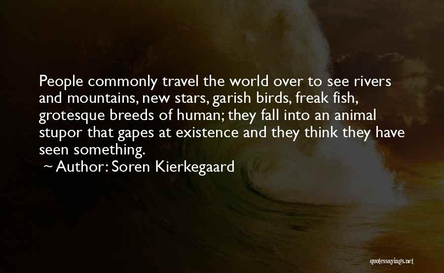 Soren Kierkegaard Quotes: People Commonly Travel The World Over To See Rivers And Mountains, New Stars, Garish Birds, Freak Fish, Grotesque Breeds Of