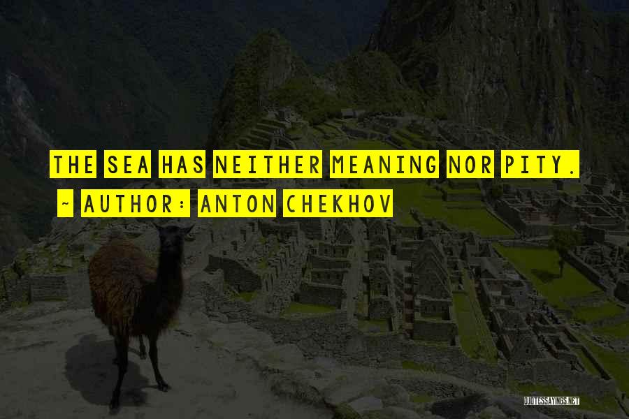 Anton Chekhov Quotes: The Sea Has Neither Meaning Nor Pity.