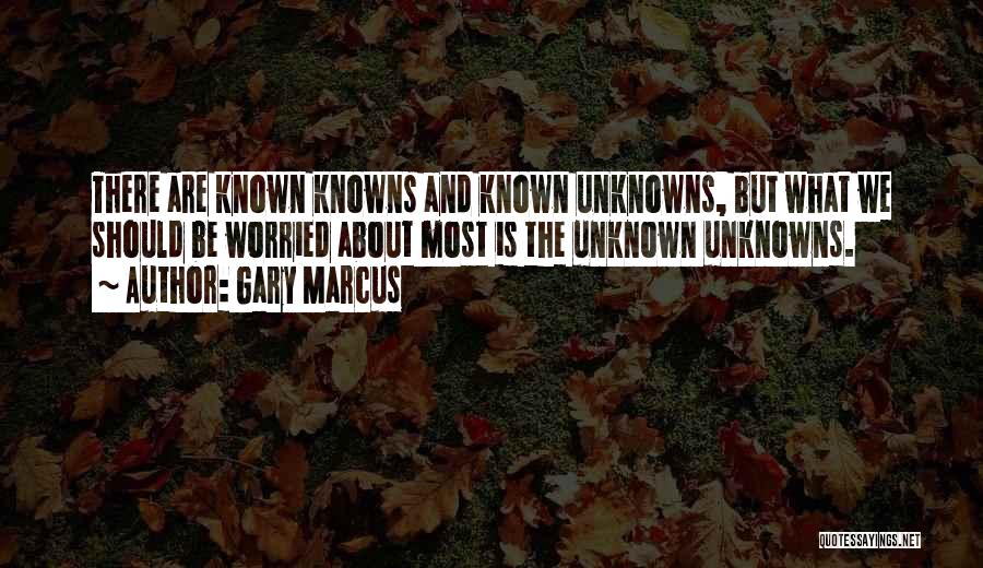 Gary Marcus Quotes: There Are Known Knowns And Known Unknowns, But What We Should Be Worried About Most Is The Unknown Unknowns.