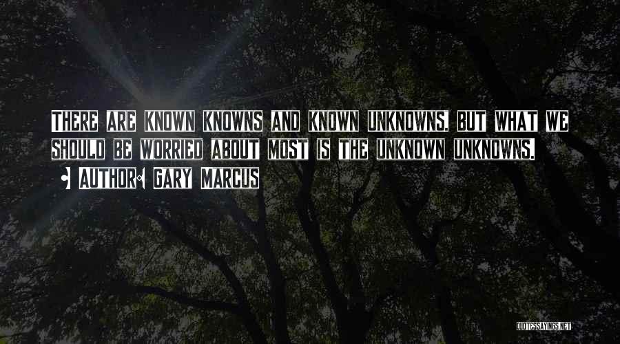 Gary Marcus Quotes: There Are Known Knowns And Known Unknowns, But What We Should Be Worried About Most Is The Unknown Unknowns.