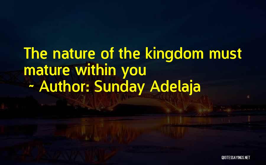 Sunday Adelaja Quotes: The Nature Of The Kingdom Must Mature Within You