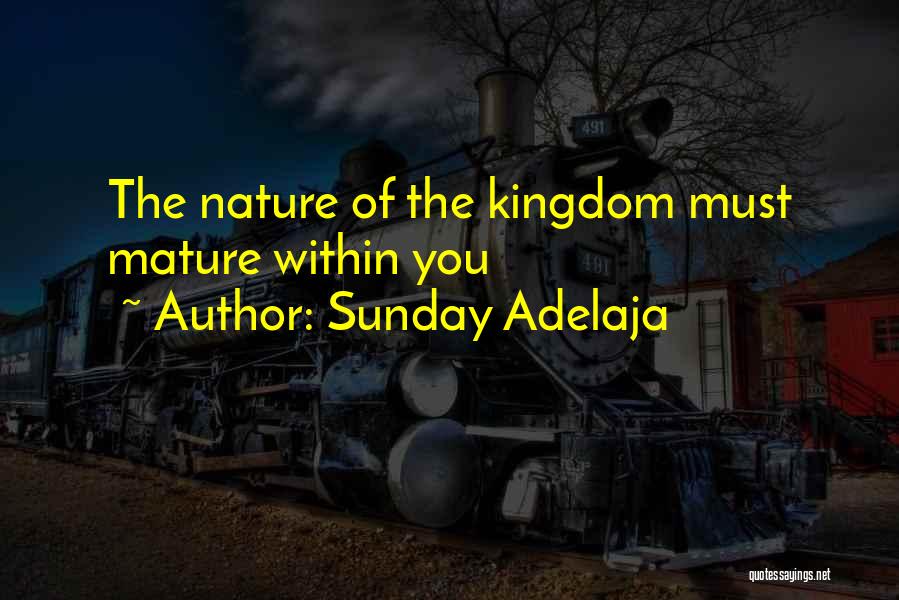Sunday Adelaja Quotes: The Nature Of The Kingdom Must Mature Within You
