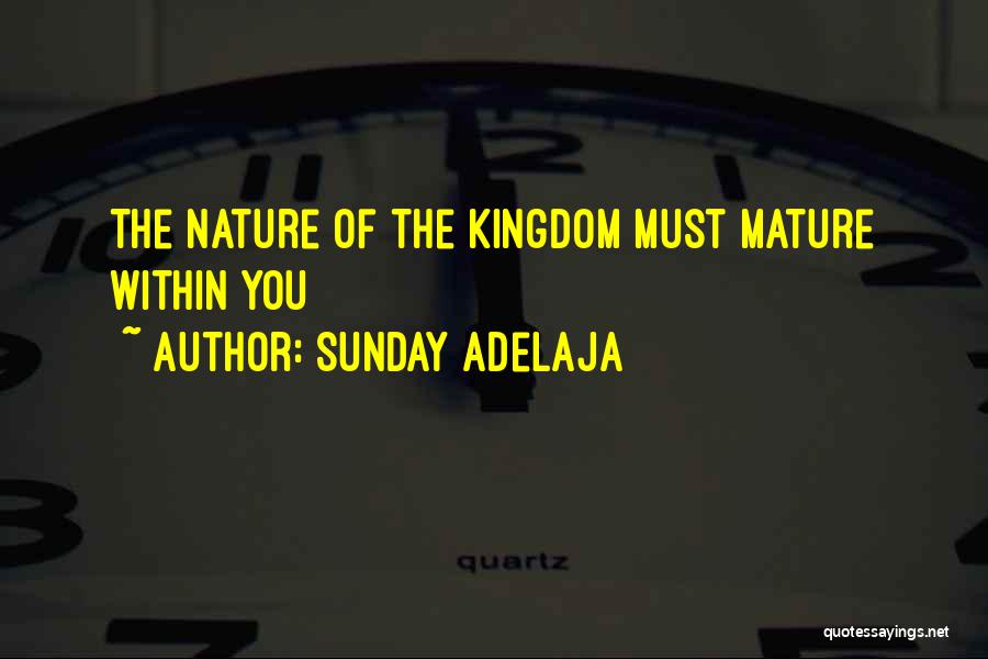 Sunday Adelaja Quotes: The Nature Of The Kingdom Must Mature Within You