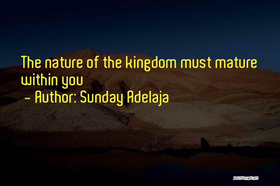 Sunday Adelaja Quotes: The Nature Of The Kingdom Must Mature Within You