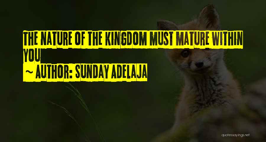 Sunday Adelaja Quotes: The Nature Of The Kingdom Must Mature Within You