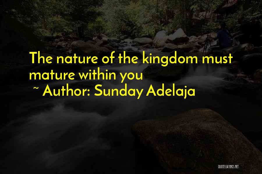 Sunday Adelaja Quotes: The Nature Of The Kingdom Must Mature Within You