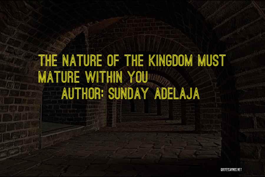Sunday Adelaja Quotes: The Nature Of The Kingdom Must Mature Within You