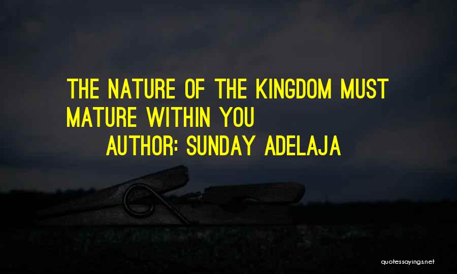 Sunday Adelaja Quotes: The Nature Of The Kingdom Must Mature Within You