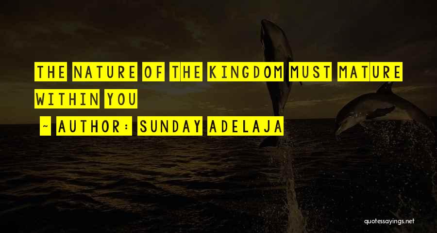 Sunday Adelaja Quotes: The Nature Of The Kingdom Must Mature Within You