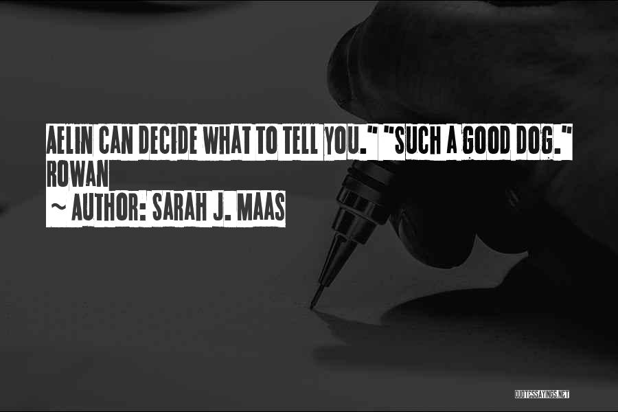 Sarah J. Maas Quotes: Aelin Can Decide What To Tell You. Such A Good Dog. Rowan