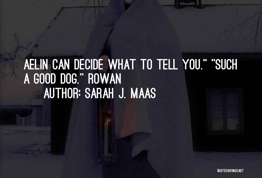 Sarah J. Maas Quotes: Aelin Can Decide What To Tell You. Such A Good Dog. Rowan