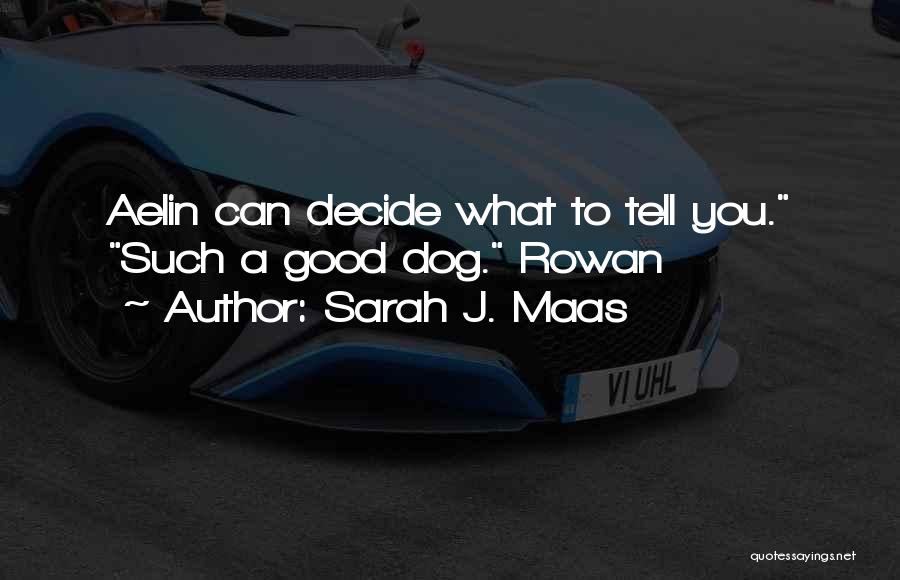 Sarah J. Maas Quotes: Aelin Can Decide What To Tell You. Such A Good Dog. Rowan