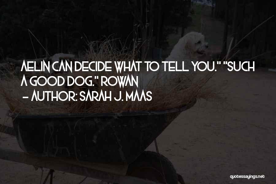 Sarah J. Maas Quotes: Aelin Can Decide What To Tell You. Such A Good Dog. Rowan