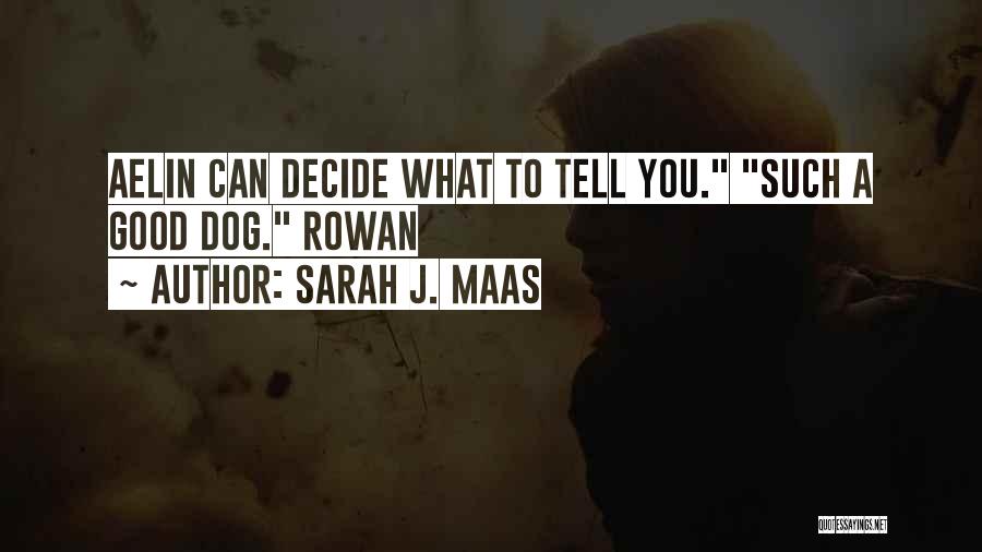 Sarah J. Maas Quotes: Aelin Can Decide What To Tell You. Such A Good Dog. Rowan