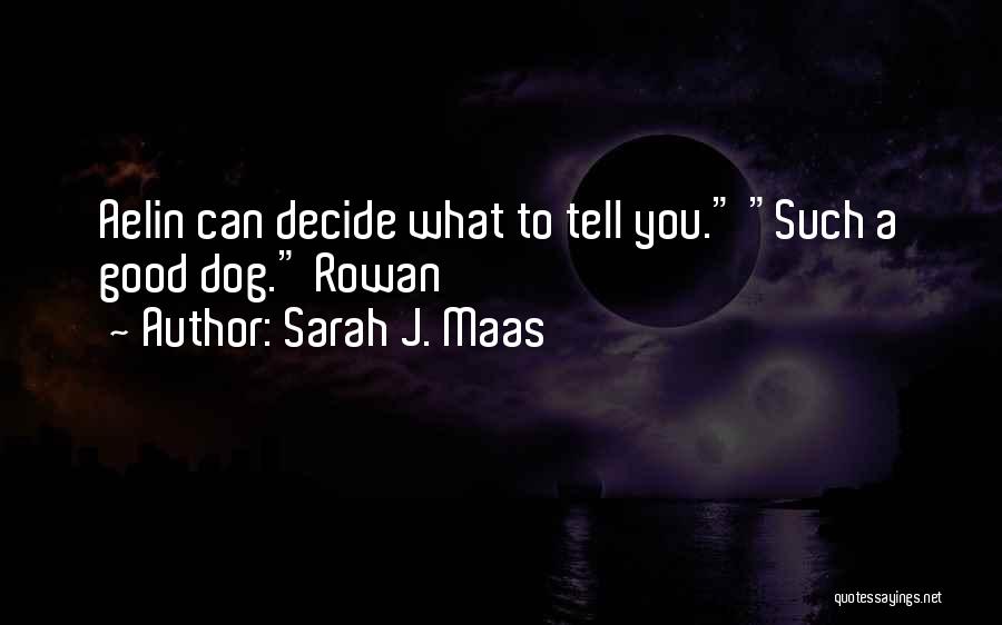 Sarah J. Maas Quotes: Aelin Can Decide What To Tell You. Such A Good Dog. Rowan