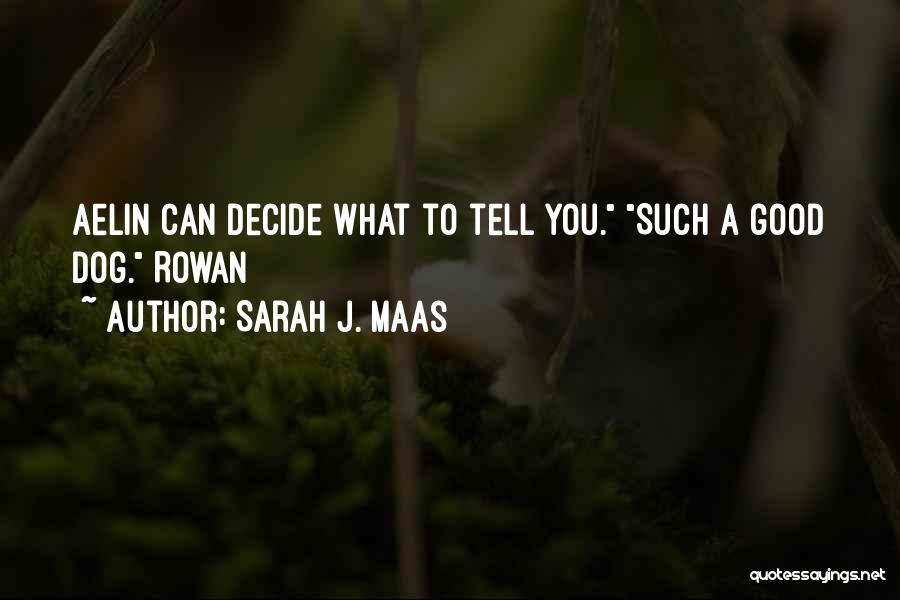 Sarah J. Maas Quotes: Aelin Can Decide What To Tell You. Such A Good Dog. Rowan