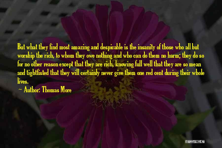 Thomas More Quotes: But What They Find Most Amazing And Despicable Is The Insanity Of Those Who All But Worship The Rich, To