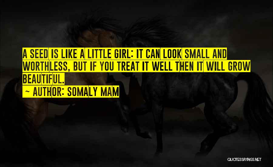 Somaly Mam Quotes: A Seed Is Like A Little Girl: It Can Look Small And Worthless, But If You Treat It Well Then