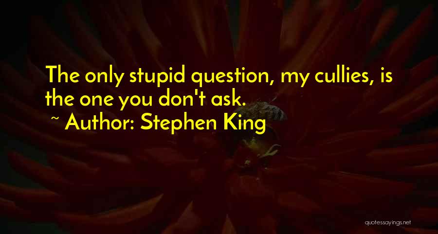 Stephen King Quotes: The Only Stupid Question, My Cullies, Is The One You Don't Ask.