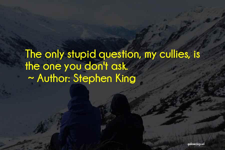 Stephen King Quotes: The Only Stupid Question, My Cullies, Is The One You Don't Ask.
