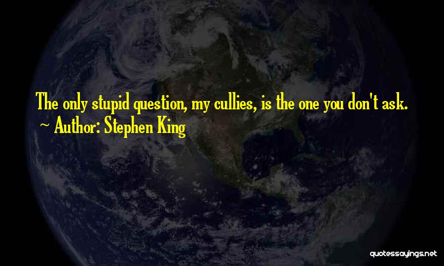 Stephen King Quotes: The Only Stupid Question, My Cullies, Is The One You Don't Ask.