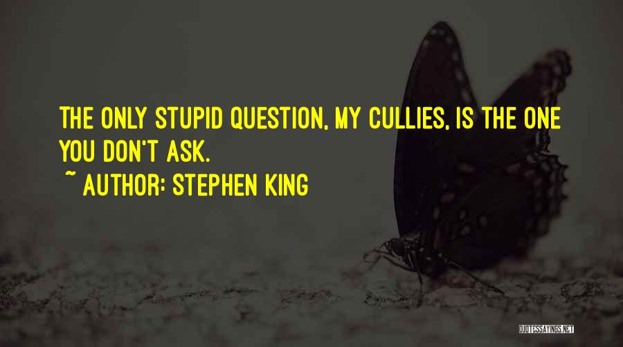 Stephen King Quotes: The Only Stupid Question, My Cullies, Is The One You Don't Ask.