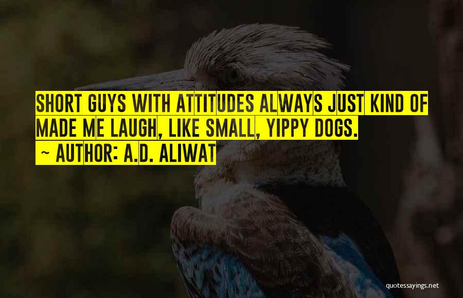 A.D. Aliwat Quotes: Short Guys With Attitudes Always Just Kind Of Made Me Laugh, Like Small, Yippy Dogs.