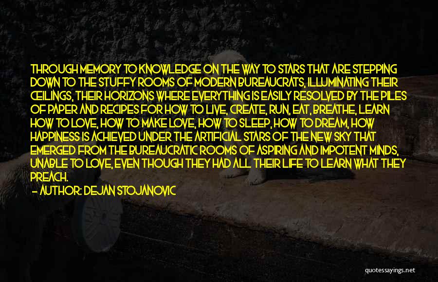 Dejan Stojanovic Quotes: Through Memory To Knowledge On The Way To Stars That Are Stepping Down To The Stuffy Rooms Of Modern Bureaucrats,