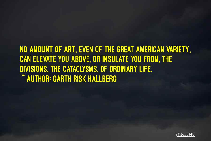 Garth Risk Hallberg Quotes: No Amount Of Art, Even Of The Great American Variety, Can Elevate You Above, Or Insulate You From, The Divisions,