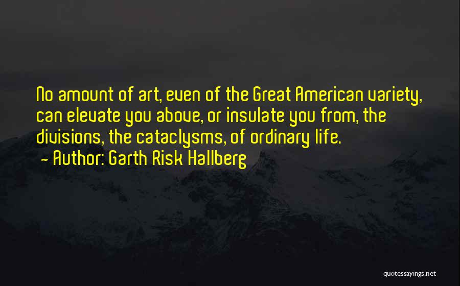 Garth Risk Hallberg Quotes: No Amount Of Art, Even Of The Great American Variety, Can Elevate You Above, Or Insulate You From, The Divisions,